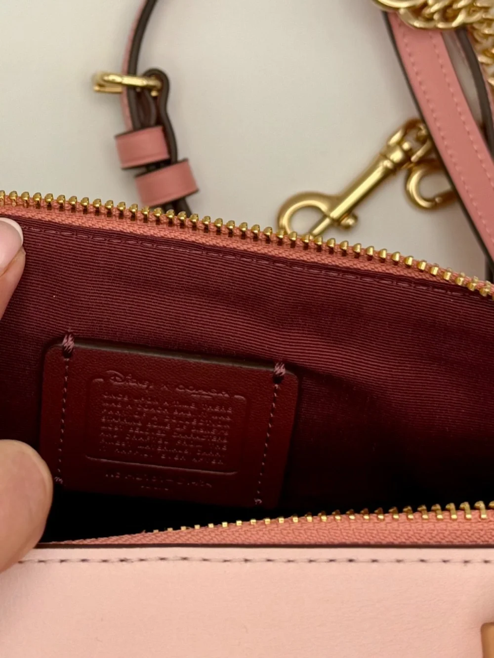 DISNEY X COACH Crossbody Signature Canvas Cinderella